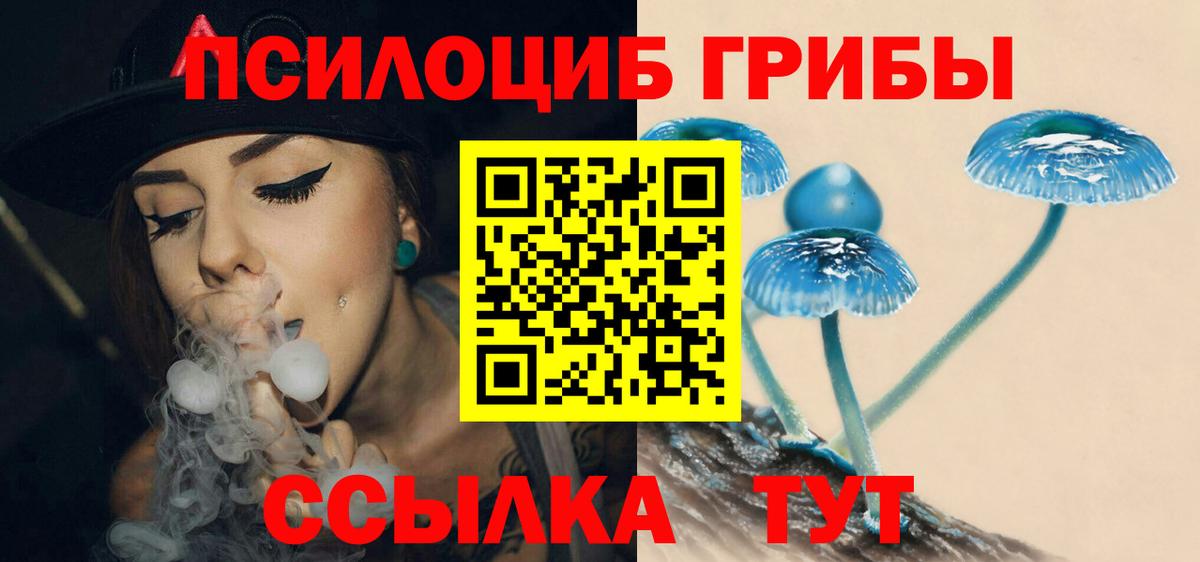 Псилоцибиновые грибы Psilocybine cubensis Усть-Илимск